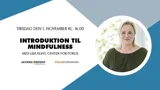 Et af UlykkesPatientForeningens webinarer