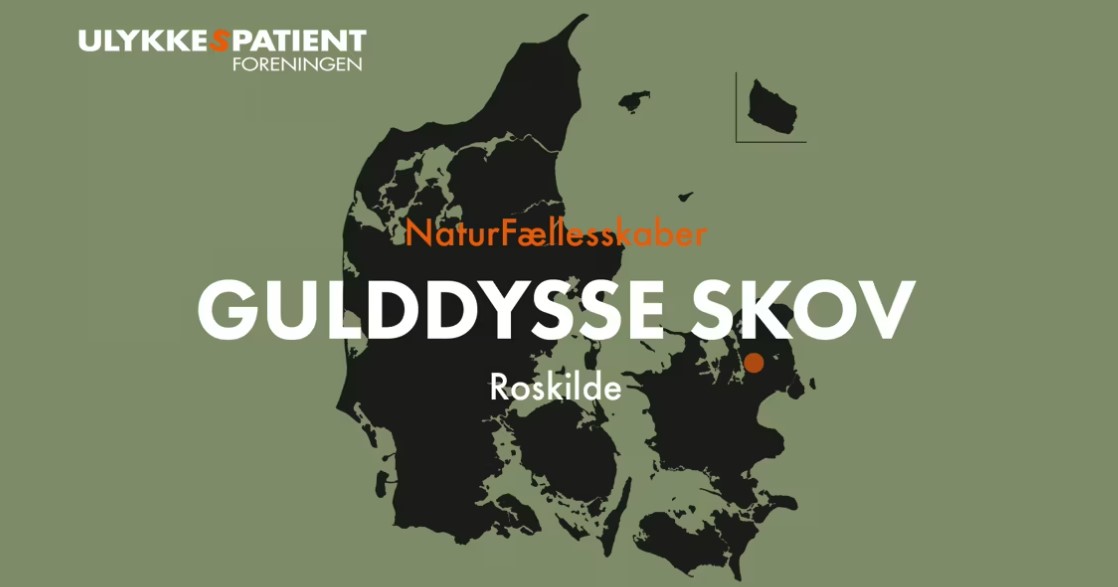 Danmarkskort, hvor Gulddysse skov er fremhævet