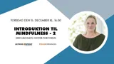 Et af UlykkesPatientForeningens webinarer