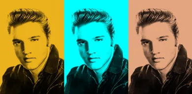 Elvis Presley